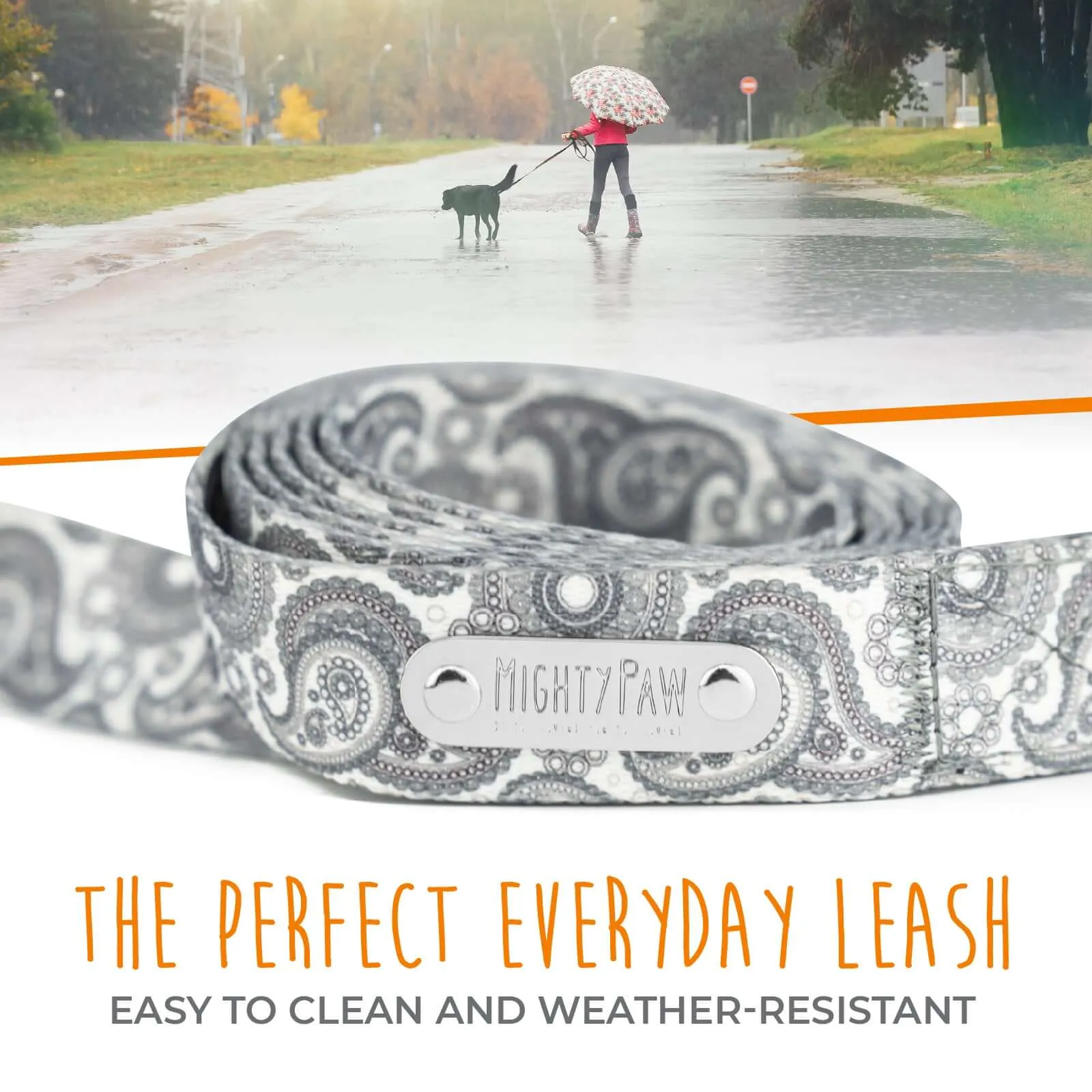 6' Grey Paisley Designer Dog Leash with All-Metal Hardware