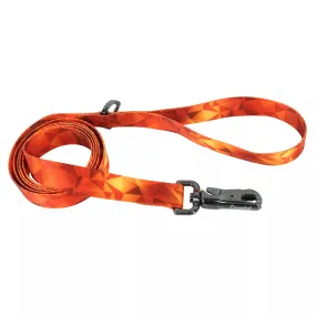 Coastal Pet Products Inspire Fashion Dog Leash in Blazing Shards
