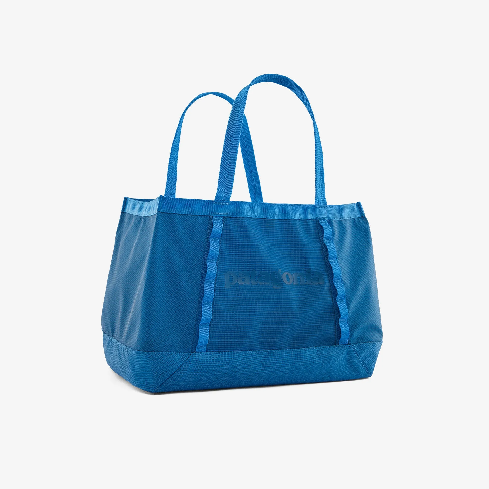 Patagonia Black Hole Tote - 25L